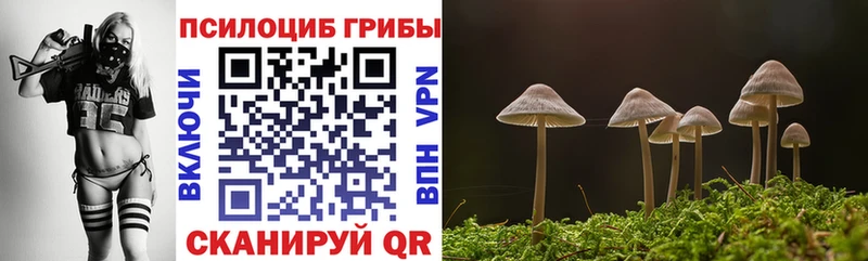 Псилоцибиновые грибы Psilocybe  Купить закладки  Ишимбай 